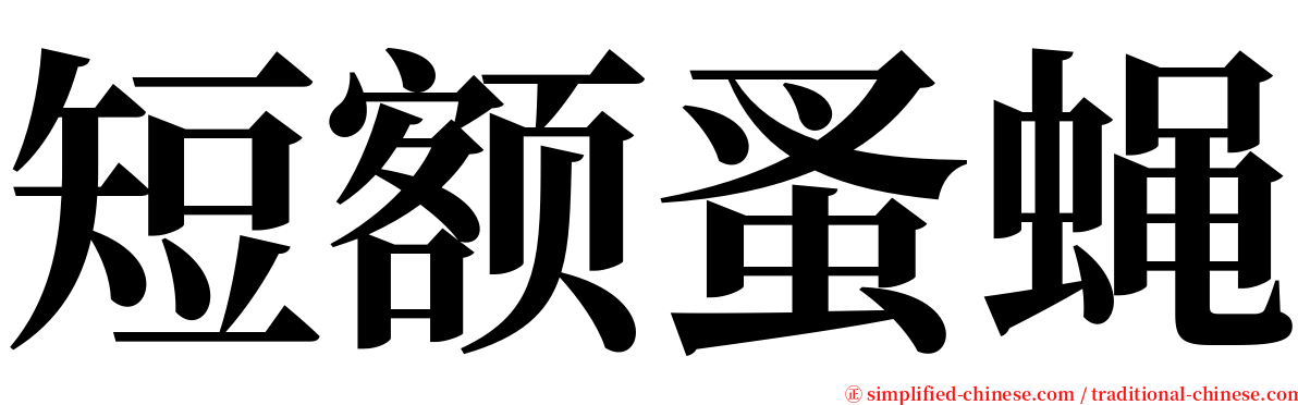 短额蚤蝇 serif font