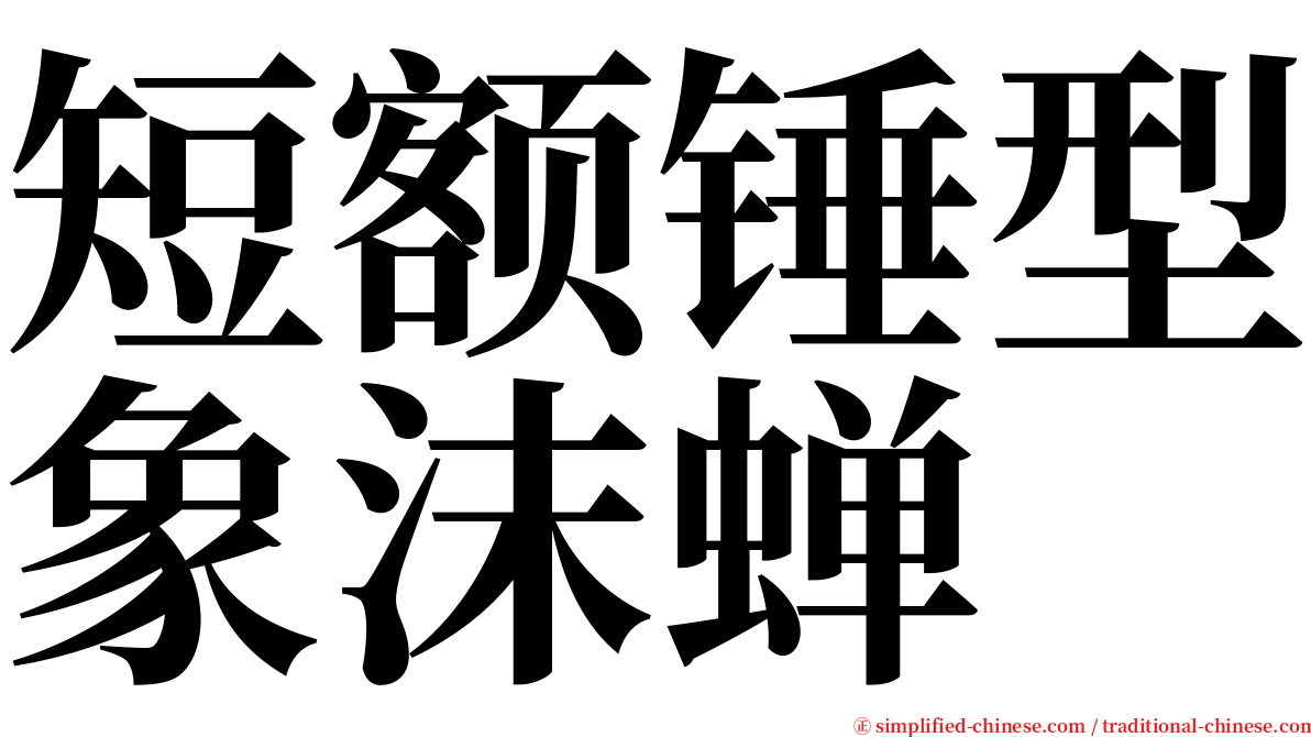 短额锤型象沫蝉 serif font