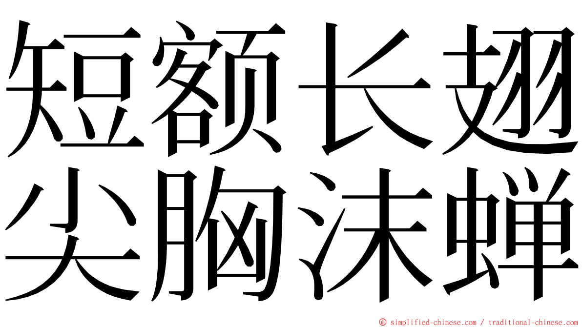 短额长翅尖胸沫蝉 ming font