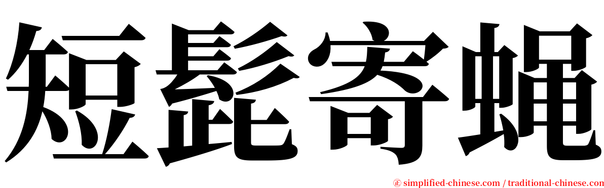 短髭寄蝇 serif font