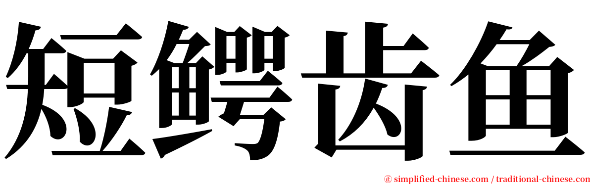 短鳄齿鱼 serif font