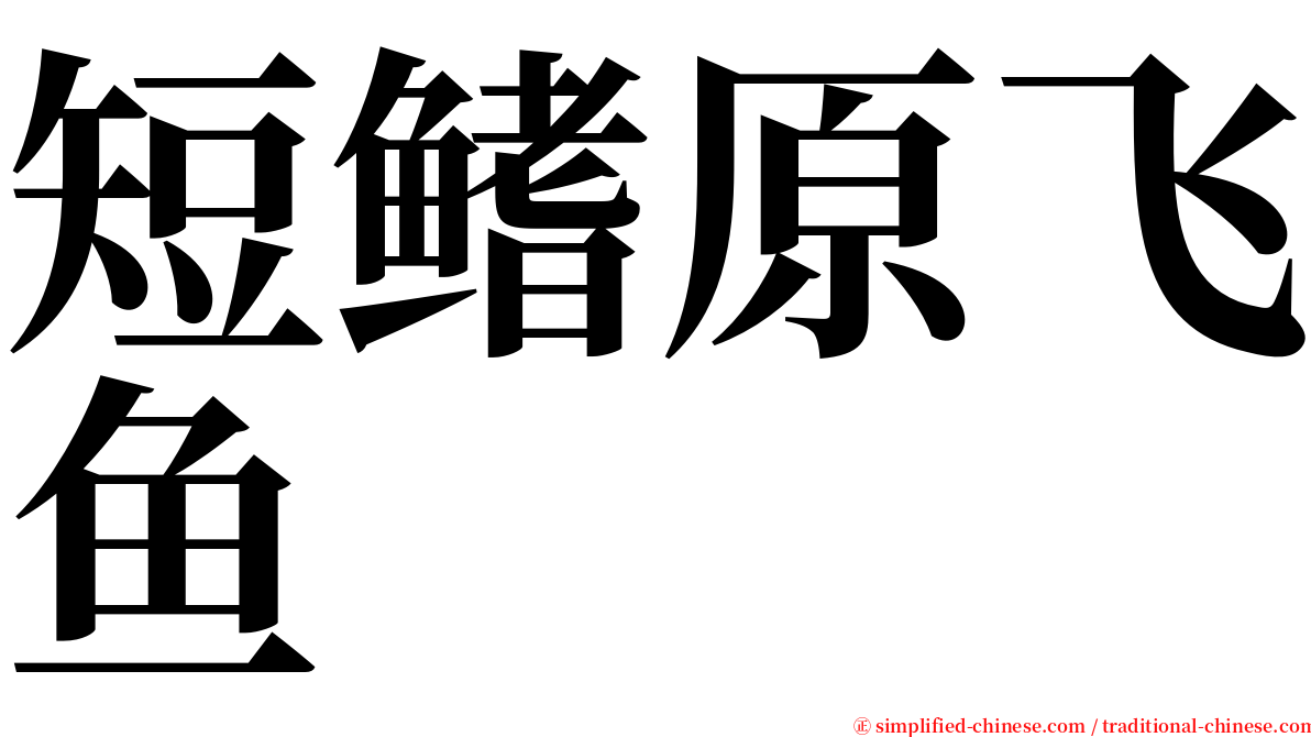 短鳍原飞鱼 serif font