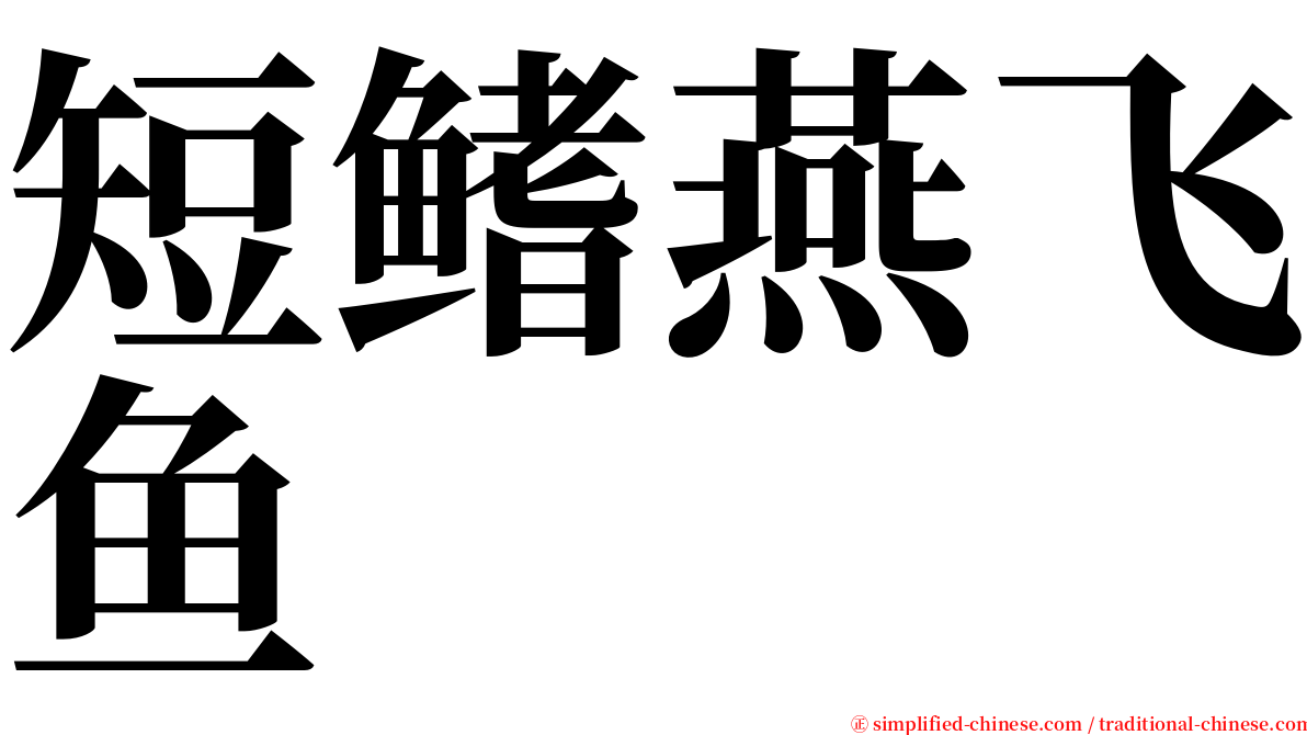 短鳍燕飞鱼 serif font