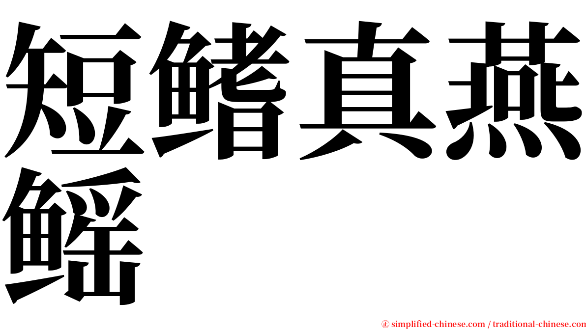 短鳍真燕鳐 serif font