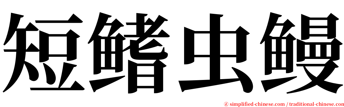 短鳍虫鳗 serif font