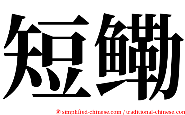 短鳓 serif font