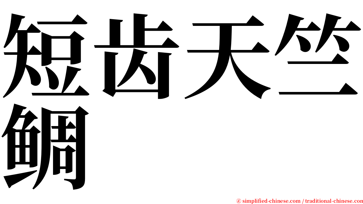 短齿天竺鲷 serif font