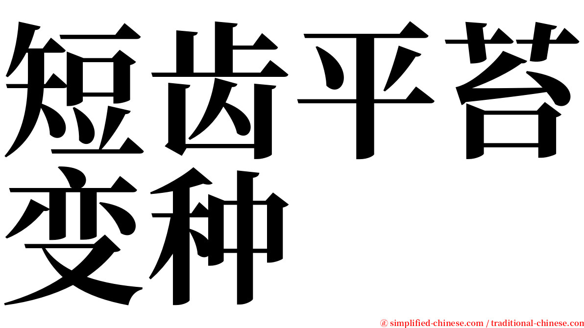 短齿平苔变种 serif font