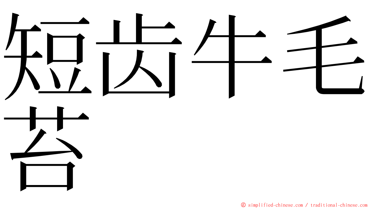 短齿牛毛苔 ming font