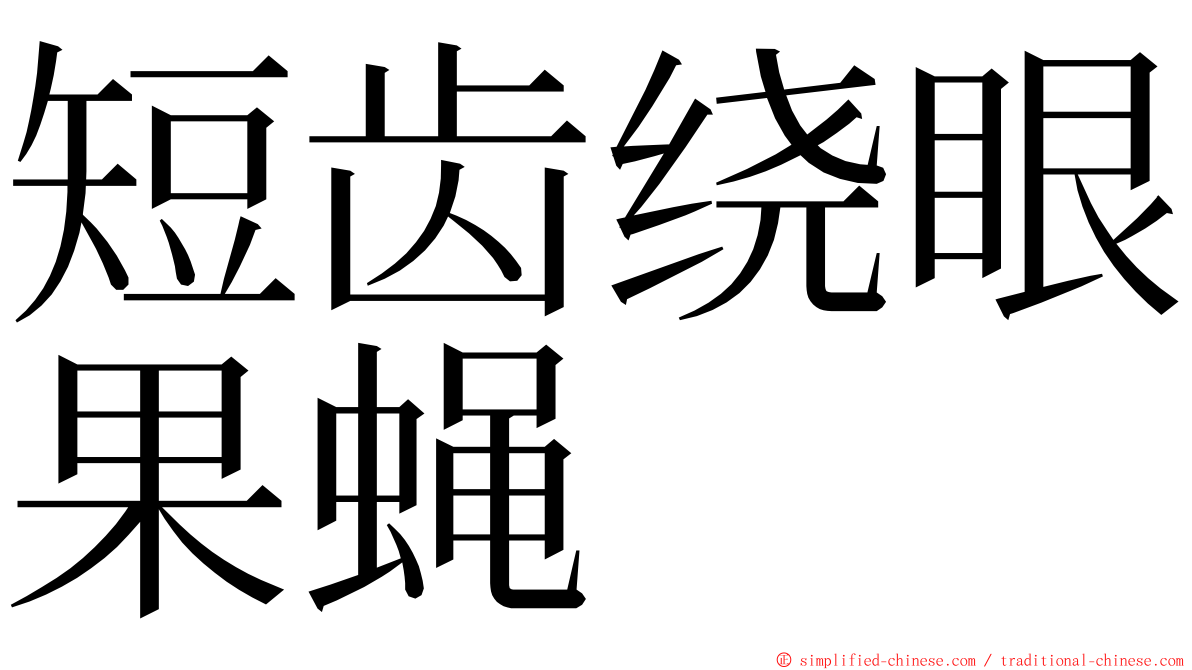 短齿绕眼果蝇 ming font