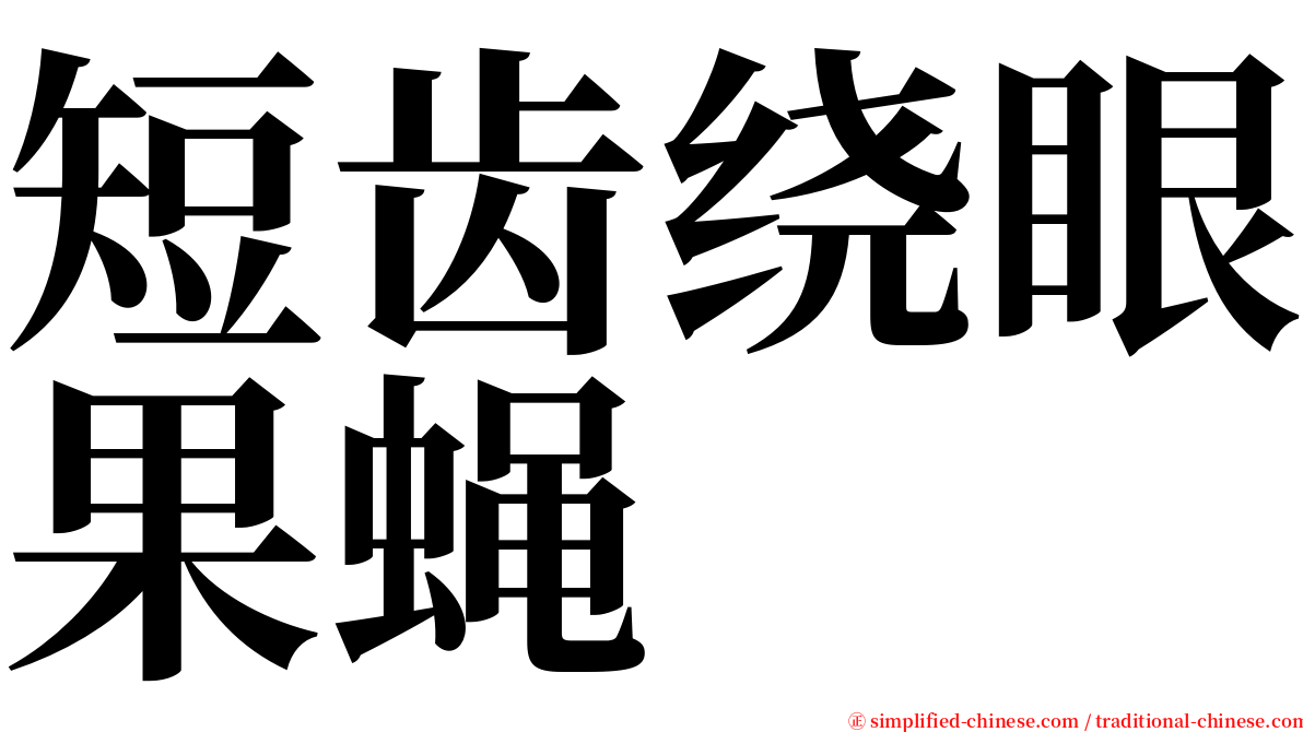 短齿绕眼果蝇 serif font