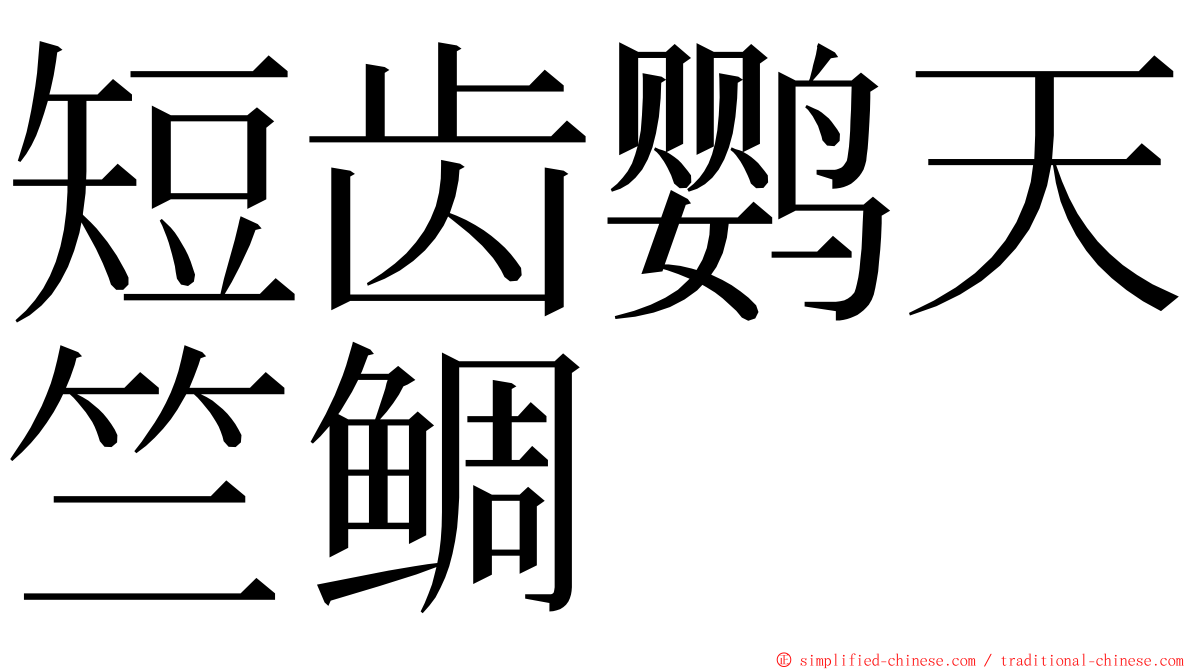 短齿鹦天竺鲷 ming font