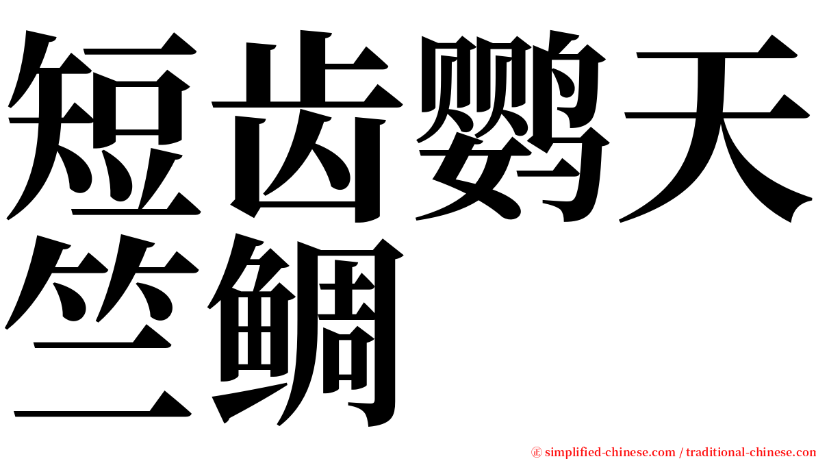 短齿鹦天竺鲷 serif font