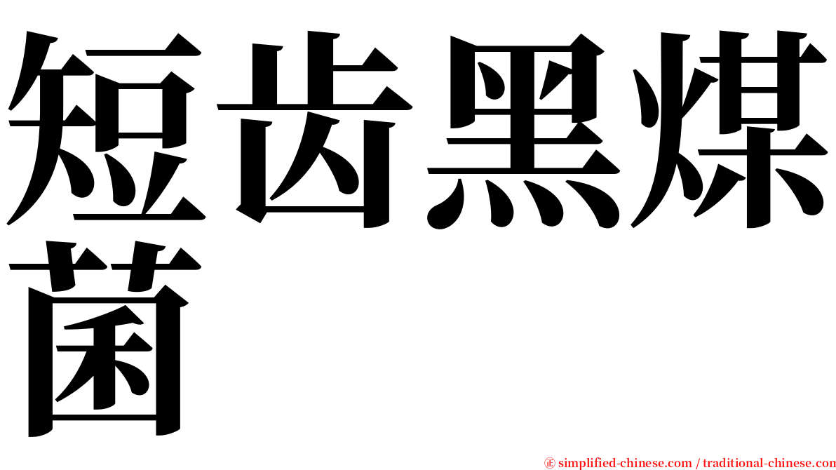 短齿黑煤菌 serif font