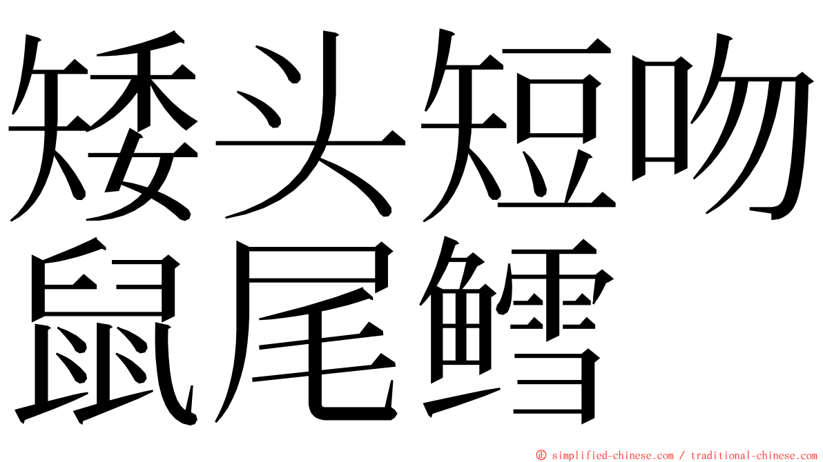 矮头短吻鼠尾鳕 ming font