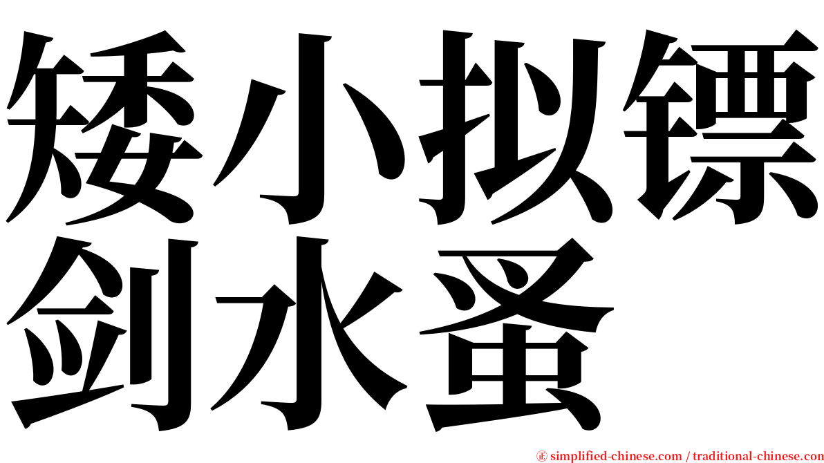 矮小拟镖剑水蚤 serif font