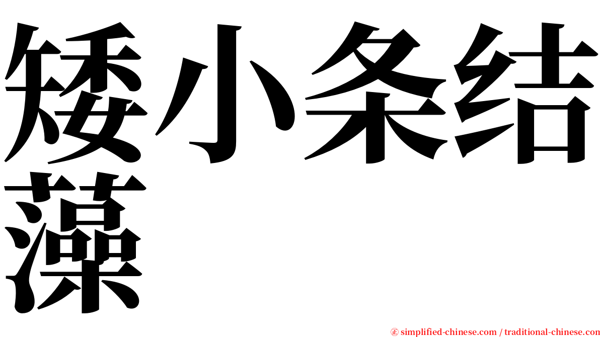 矮小条结藻 serif font