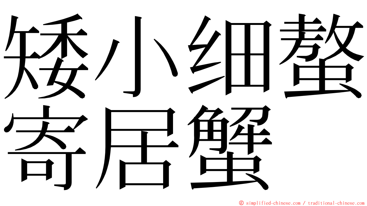 矮小细螯寄居蟹 ming font