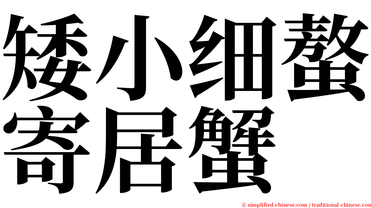 矮小细螯寄居蟹 serif font