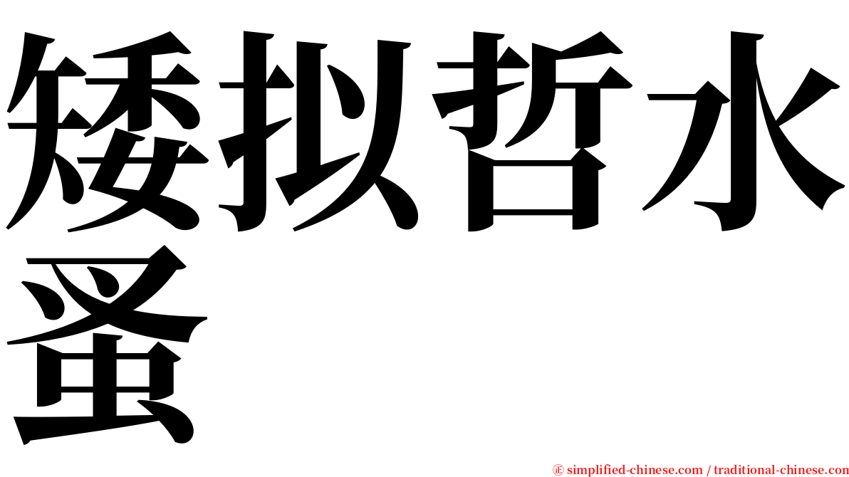 矮拟哲水蚤 serif font