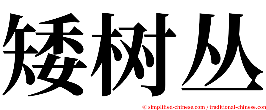 矮树丛 serif font