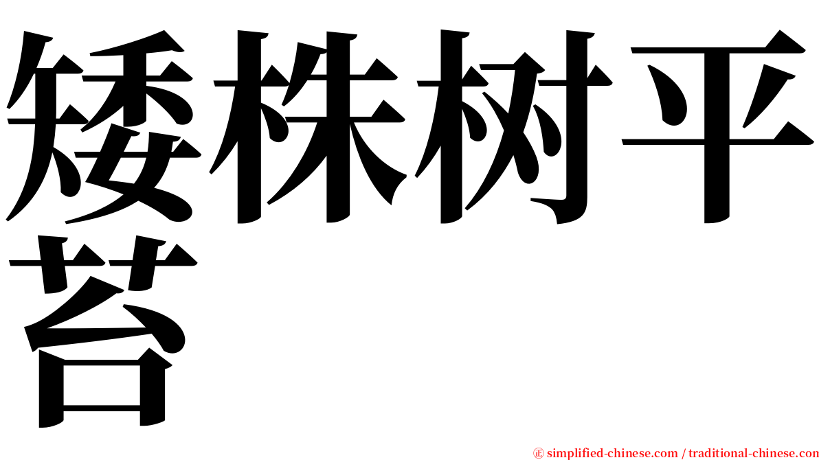 矮株树平苔 serif font