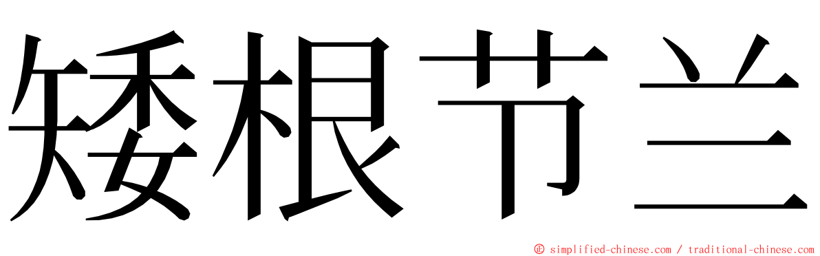 矮根节兰 ming font