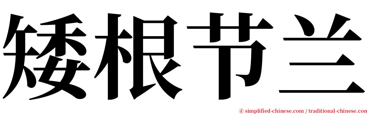 矮根节兰 serif font