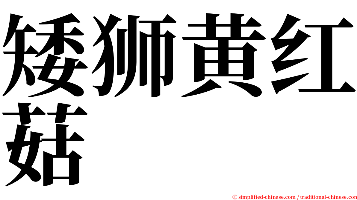 矮狮黄红菇 serif font