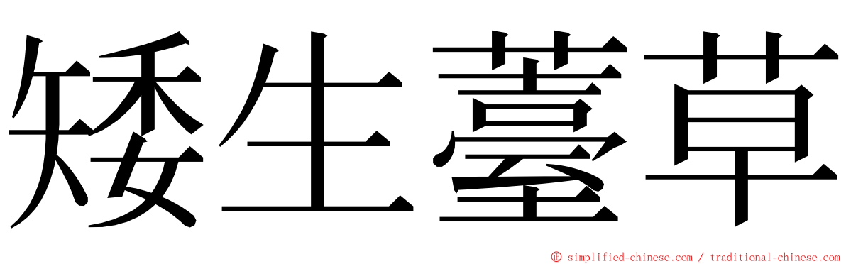 矮生薹草 ming font