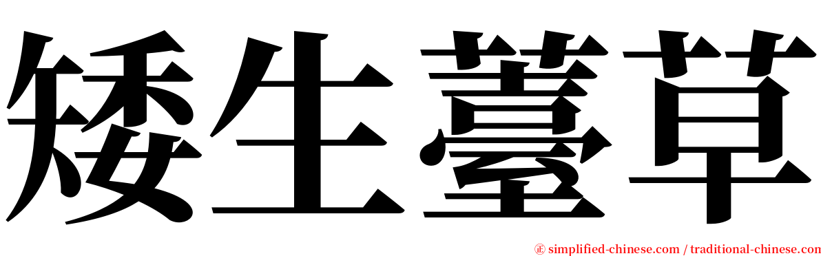 矮生薹草 serif font