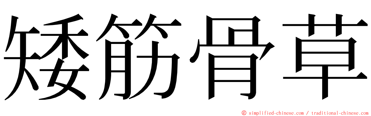 矮筋骨草 ming font