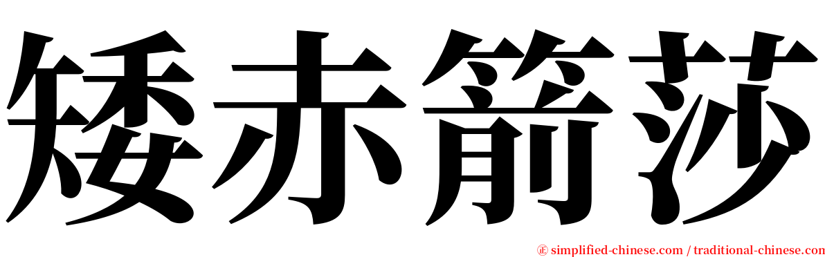 矮赤箭莎 serif font