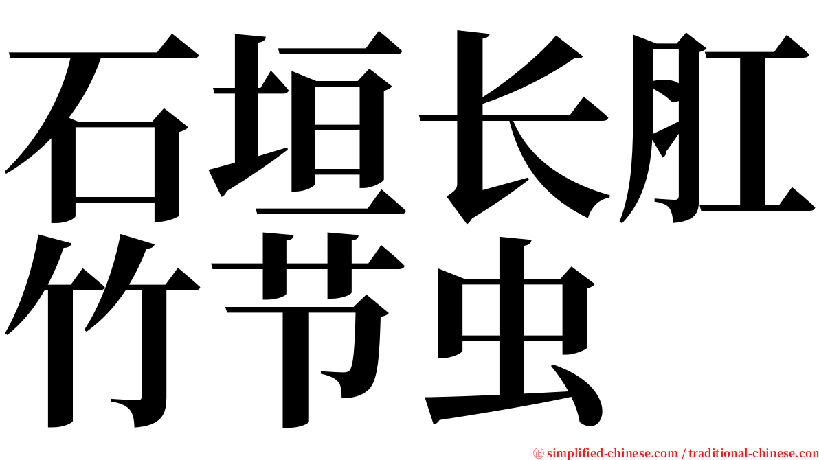 石垣长肛竹节虫 serif font