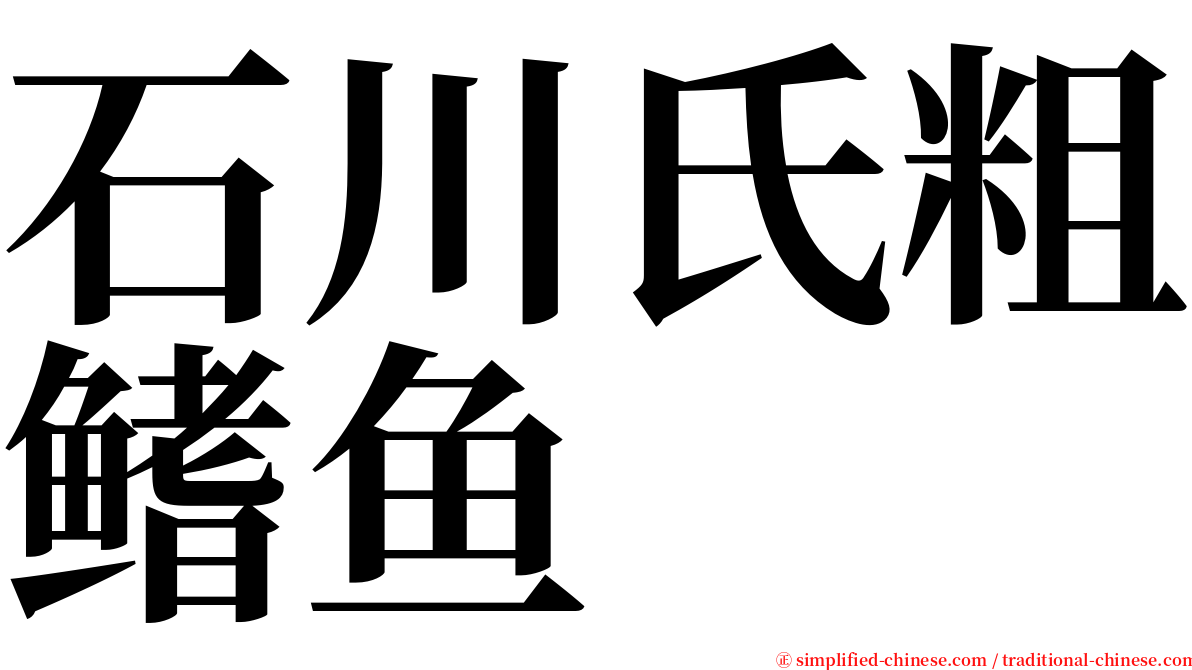 石川氏粗鳍鱼 serif font