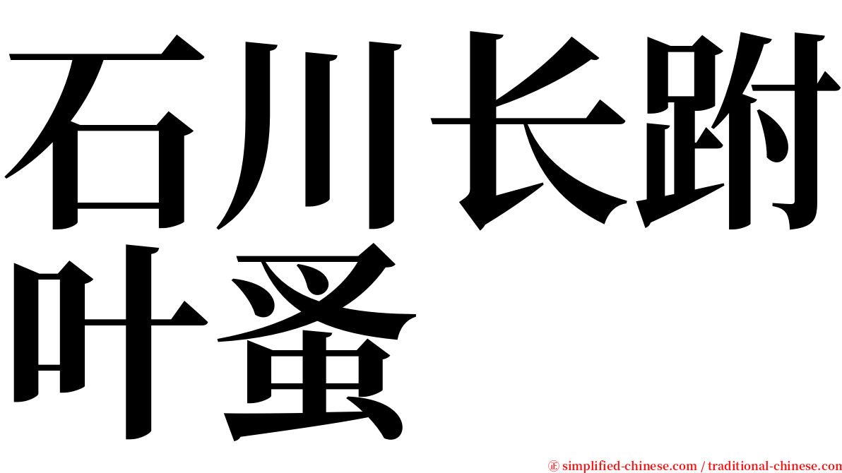 石川长跗叶蚤 serif font