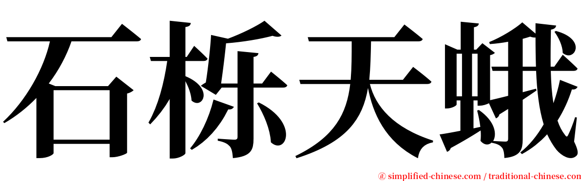 石栎天蛾 serif font