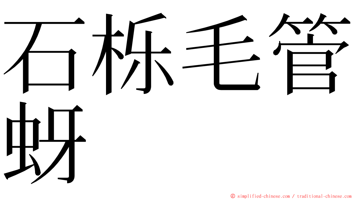 石栎毛管蚜 ming font