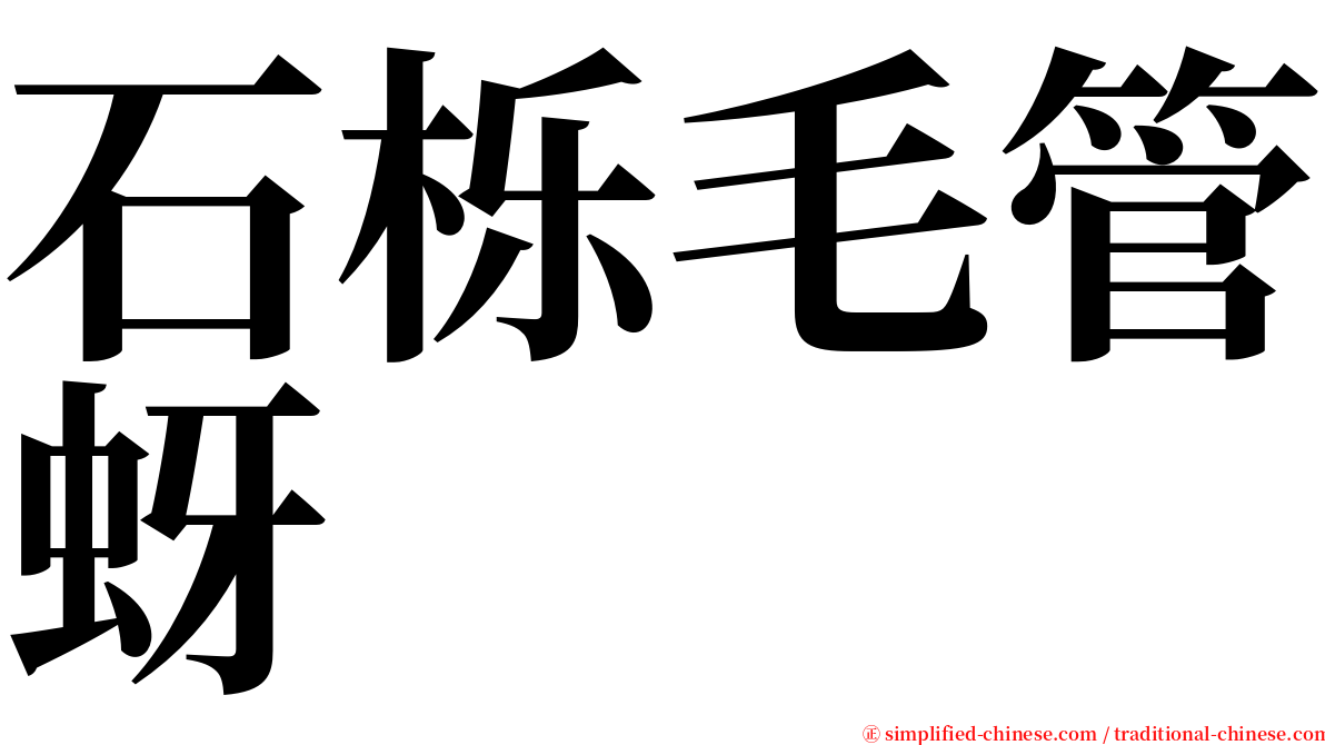 石栎毛管蚜 serif font