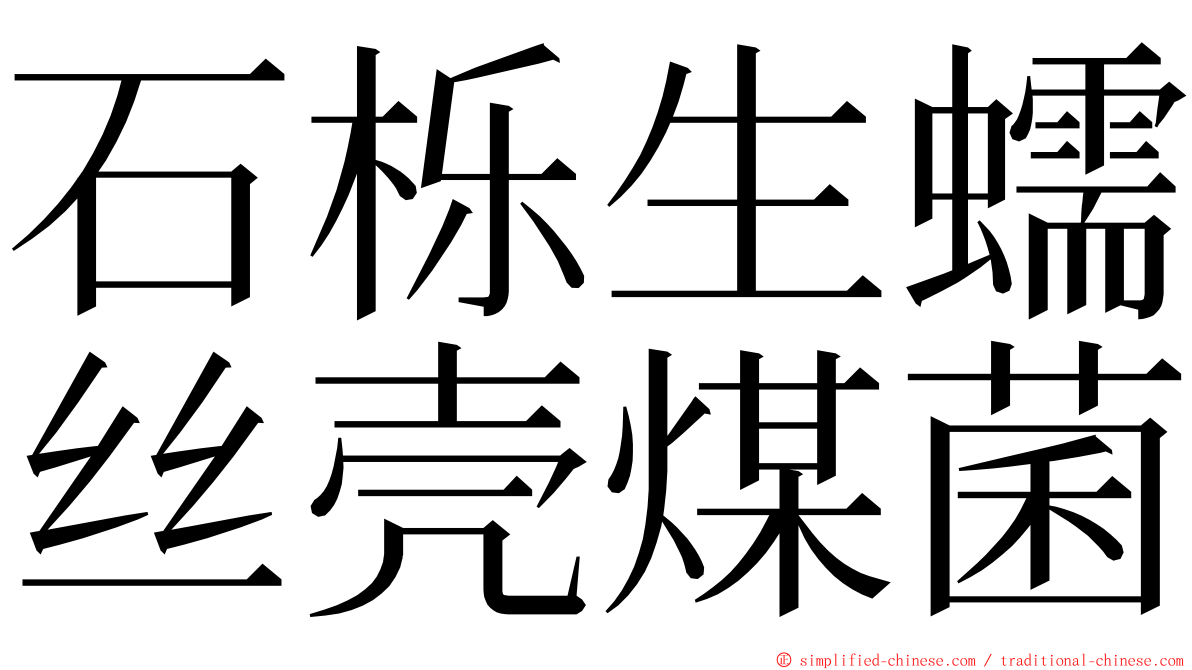 石栎生蠕丝壳煤菌 ming font