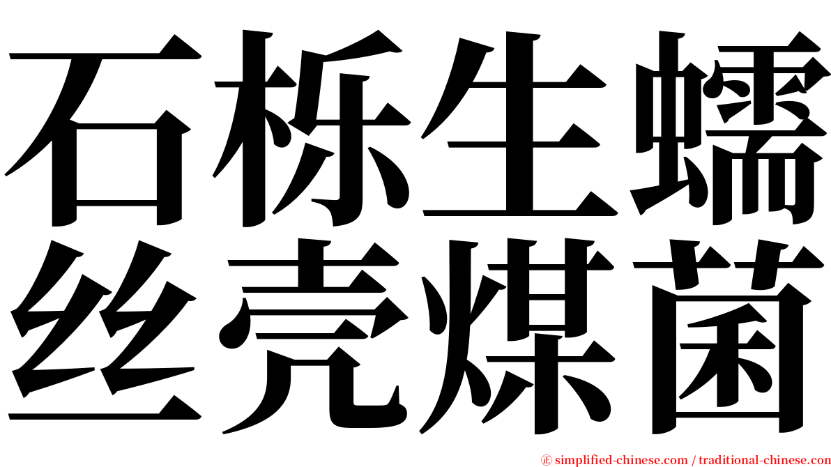 石栎生蠕丝壳煤菌 serif font