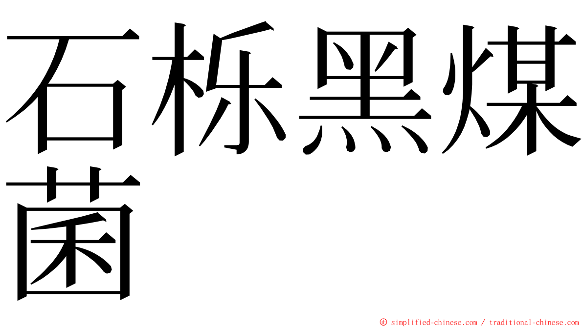 石栎黑煤菌 ming font