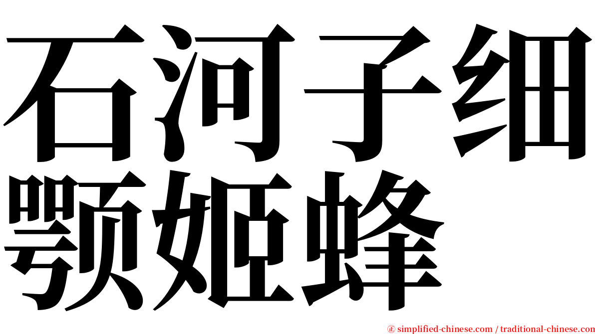 石河子细颚姬蜂 serif font