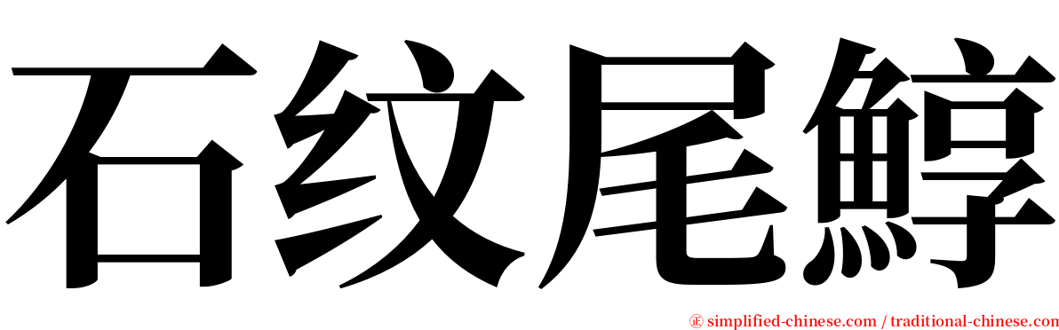 石纹尾鯙 serif font