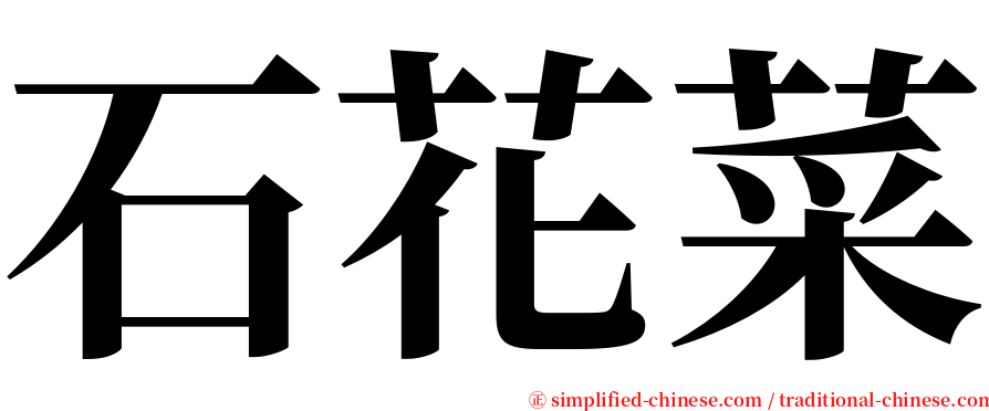 石花菜 serif font