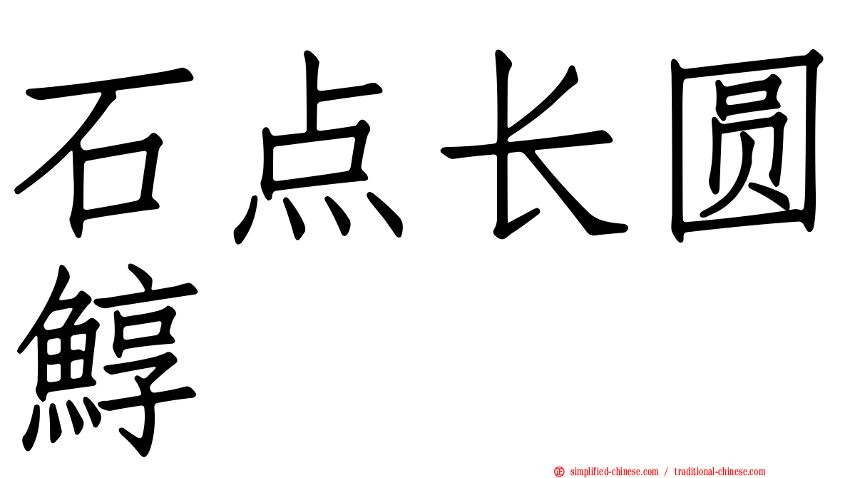 石点长圆鯙