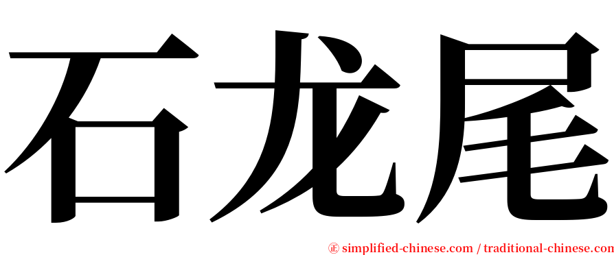 石龙尾 serif font