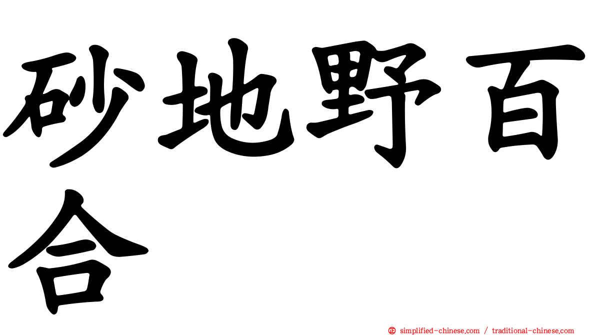 砂地野百合