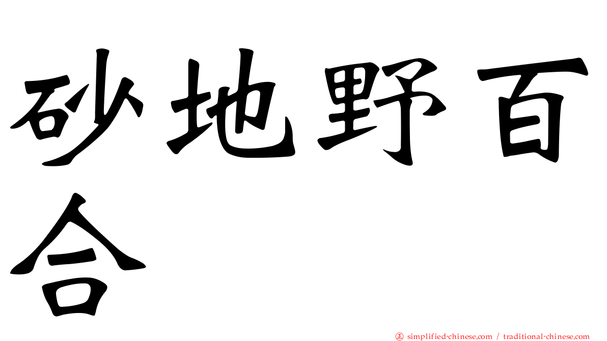 砂地野百合