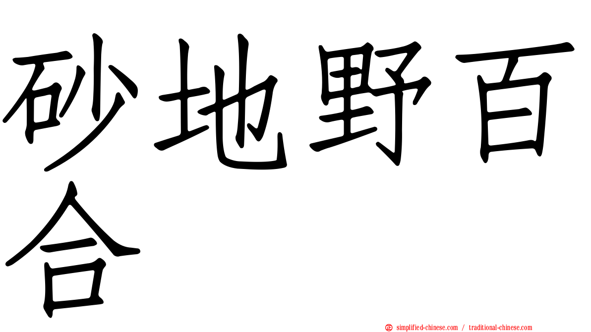 砂地野百合